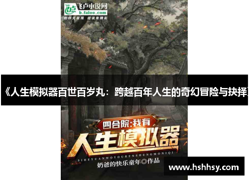 《人生模拟器百世百岁丸：跨越百年人生的奇幻冒险与抉择》