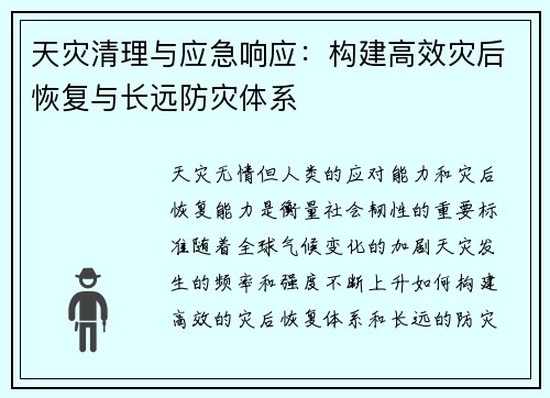天灾清理与应急响应：构建高效灾后恢复与长远防灾体系
